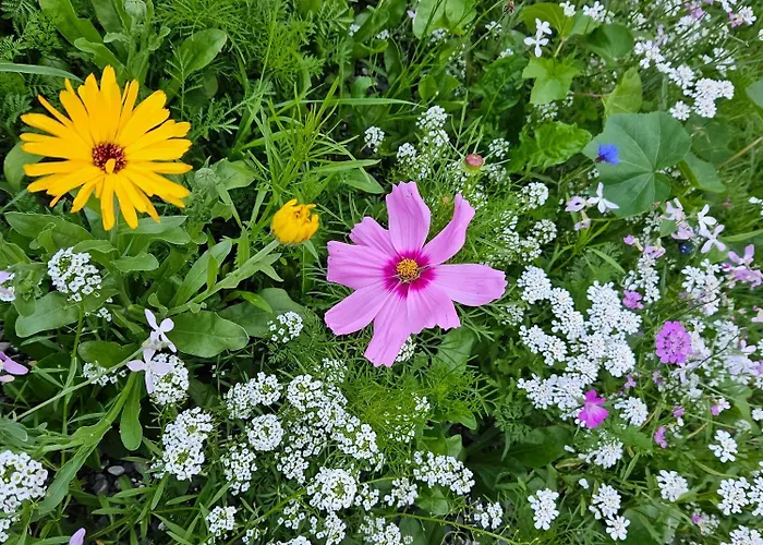 Appartement Klus Brugg *